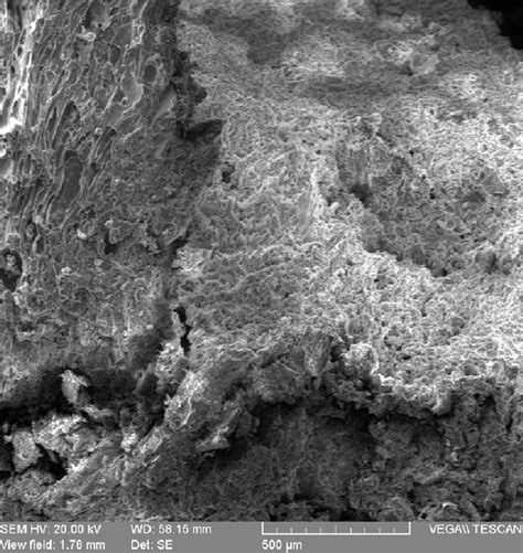 Sem Image Of Dfg Showing The Honeycomb Morphology Of Smectite