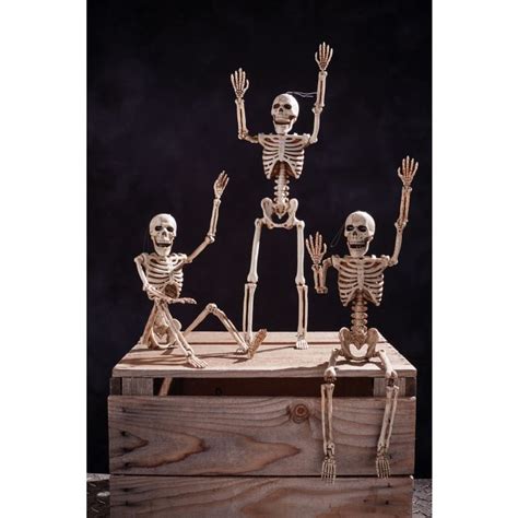 14 Posable Skeleton Imaginations Costume And Dance