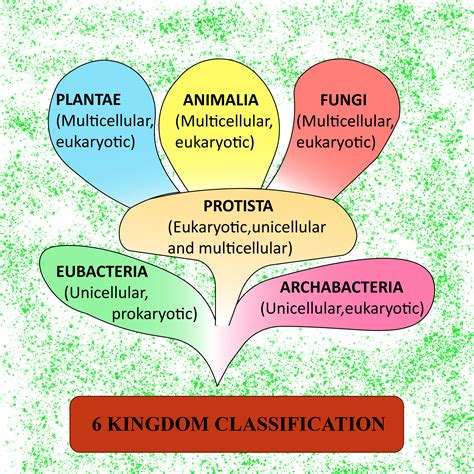 Domains And Kingdoms Chart