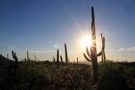 Why You Should Spend This Winter In Tucson Stargate West