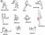 Video Warm Up Exercises For Seniors Images