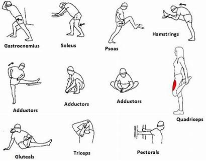 Exercise Flexibility Joint Massage Sports Admin December