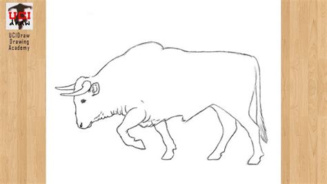 How To Draw A Bull Easy Drawing Step By Step Outline Strong Bull