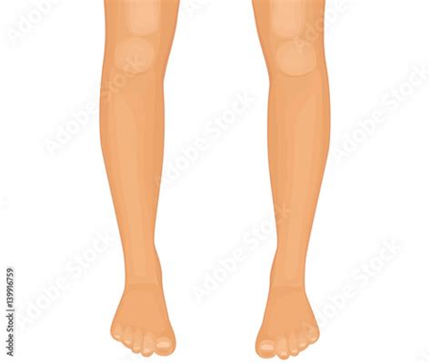 Human Legs Vector Illustration On White Background Buy This Stock