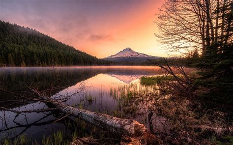 Fondos De Pantalla Árboles Paisaje Bosque Montañas Puesta De Sol