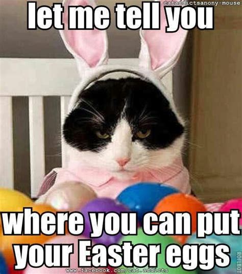 Let Me Tell You Funny Easter Pictures Happy Easter Funny Easter Humor