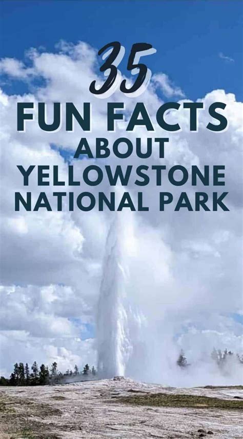 35 fun facts about yellowstone national park