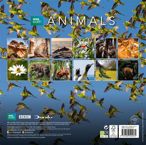 Bbc Earth Animals Wandkalenders Voor 2021 Koop Bij Europosters