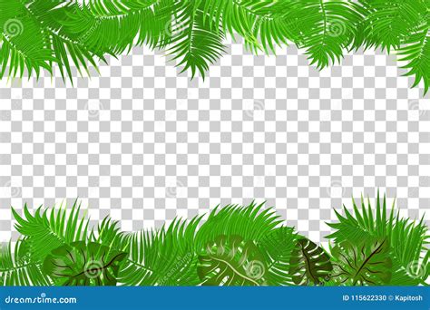 summer jungle palm leaf frame stock vector illustration of leaf palm 115622330