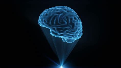 The Holographic Brain At The Edge Of Neuroscience And By