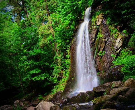 Fotos Gratis Paisaje árbol Naturaleza Bosque Cascada Selva Otoño Cuerpo De Agua