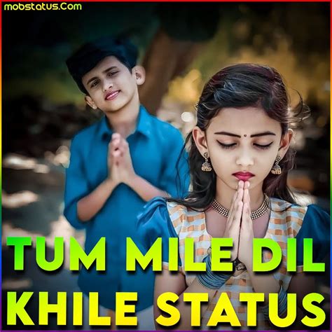 Tum Mile Dil Khile Whatsapp Status Video Download Full Screen