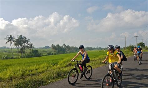 Takut Bersepeda Di Bali Bali Cycling Tour Operator