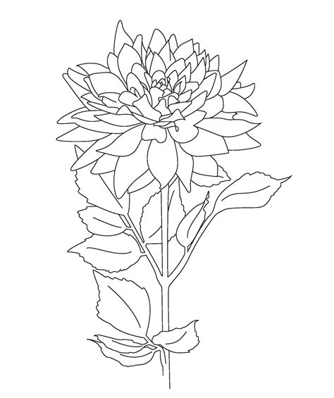 Free Printable Botanical Coloring Pages