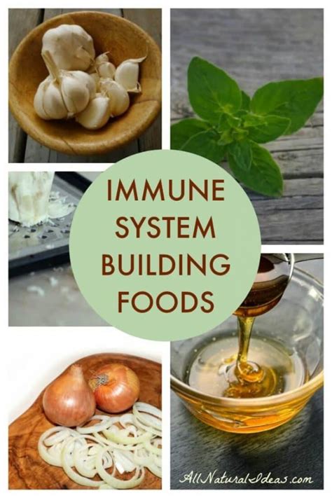 Foods To Strengthen Immune System For Winter All Natural Ideas