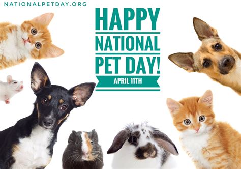 National Love Your Pet Day Show Just How Much People Care Pet Care