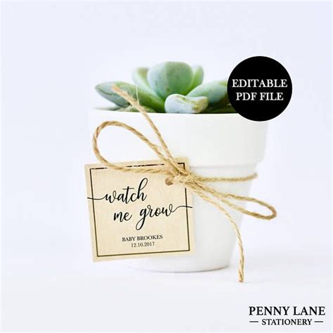 Watch Me Grow Tags, Editable PDF, Favor Tags, Baby Shower Favor Tags