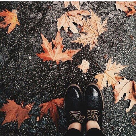 🍁 November Rainy Day Sidewalk Art Autumn Fall Vibes Autumn