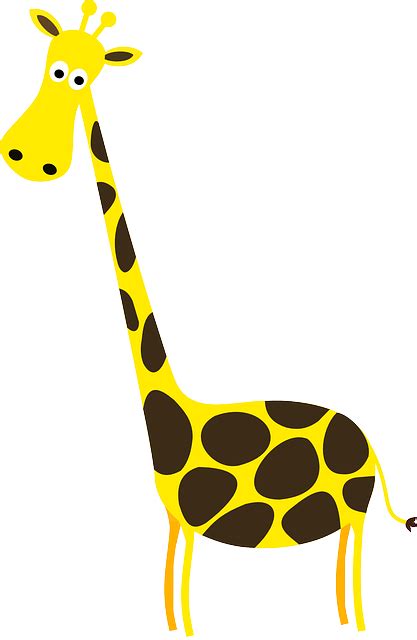 Girafe Animal Mammifère Images Vectorielles Gratuites Sur Pixabay