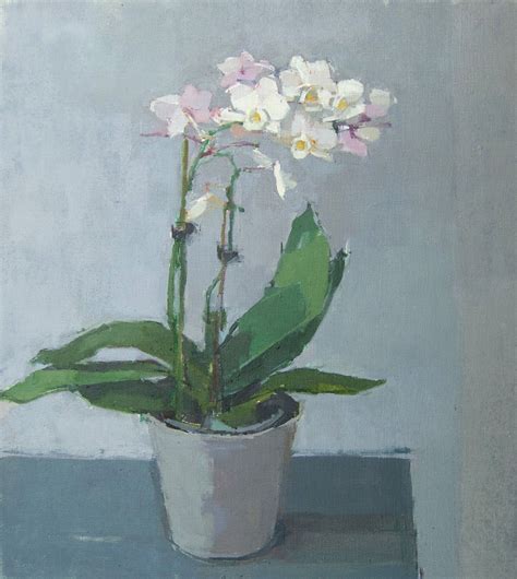 Sarah Spackman Little White Orchid Orchids Painting Floral Painting