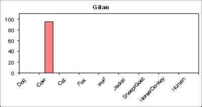 Internet Scientific Publications