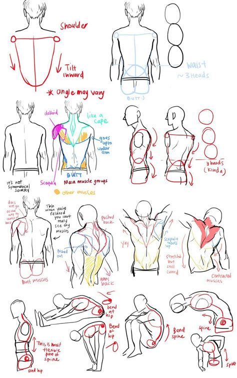 pin by mst on drawing drawing tutorial figure drawing reference anatomy drawing