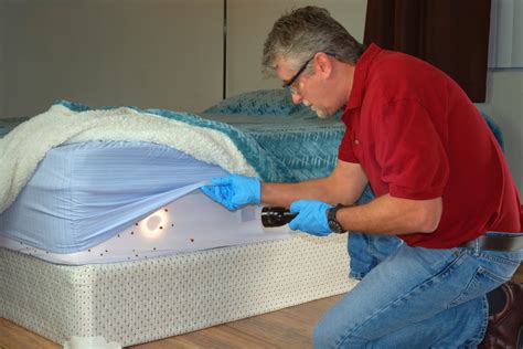 Bed Bugs Basics Causes Locations And Signs Logan Extermination