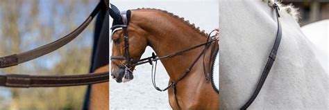 The Best Reins For Horse Riding Choosing The Right Reins