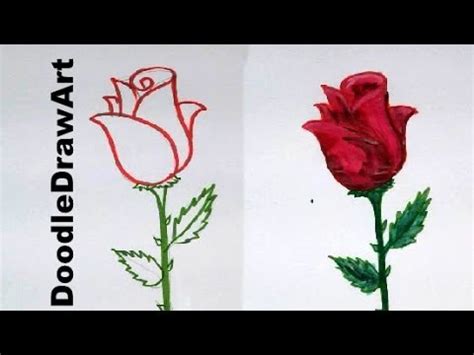 Rose drawing studies by gvaat. Drawing: How To Draw a Rose step by step - easy lesson for ...