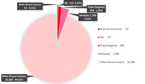 The Ibc Network Foundation Inflammatory Breast Cancer