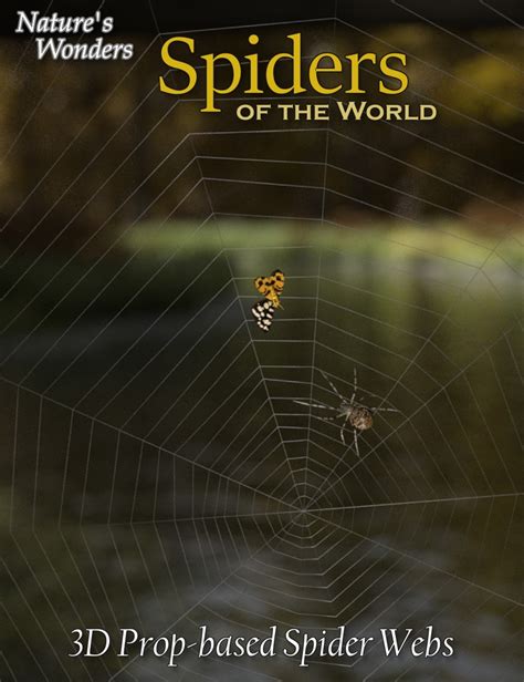 Natures Wonders Spider Webs