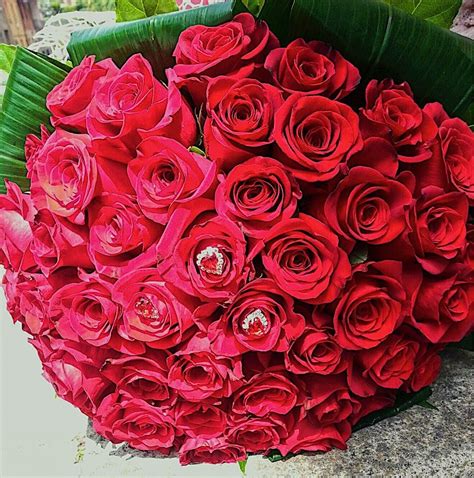 La padrona di casa ha accetto le scuse del suo ospite, ma ha specificato: Mazzo di rose (With images) | Flowers, Rose, Plants