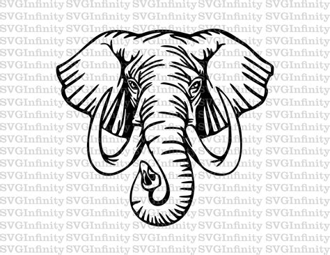 Elephant Head Svg Elephant Tusks Svg Ivory Svg Elephant Etsy India