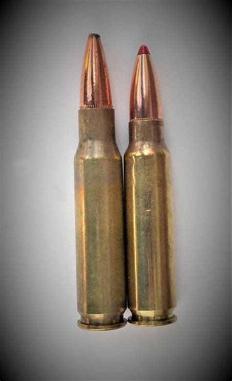 300 Savage Cartridge And Savage 99 Rifle — The Forgotten 30 The K