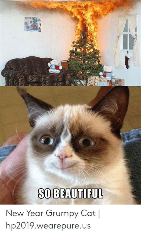 So Beautiful New Year Grumpy Cat Hp2019wearepureus Beautiful Meme
