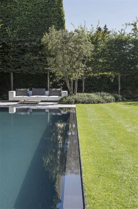 Grass Edge Peekaboo Refresh Your Backyard With The Latest Pool Trends Artofit