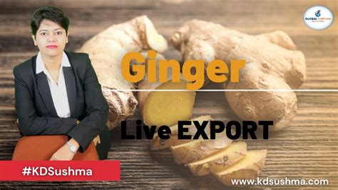Ginger Live Export I Practical Export I Export Business I KDSushma