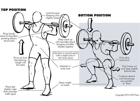 The Trust Exercise Highlight Of The Week The Squat