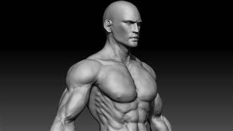 Man Back Muscles Reference 3d Realistic Muscular Man Cgtrader