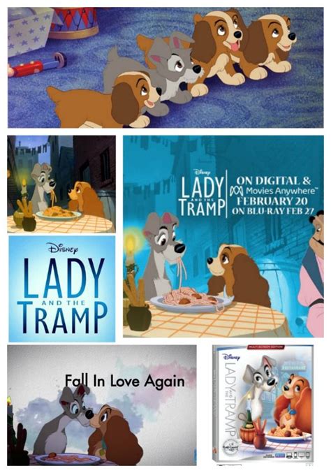 The Walt Disney Signature Collection Lady And The Tramp Lady And The