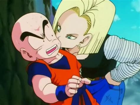 c18 and krillin