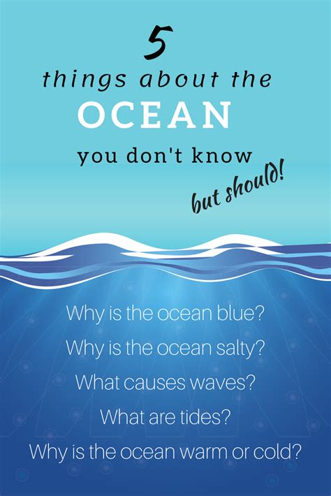 5 Ocean Facts You Are Embarrassed You Don’t Know Ocean Lesson Plans Ocean Theme Preschool