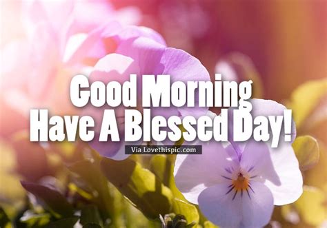 Good Morning Have A Blessed Day Violet Pansy Quote Pictures Photos