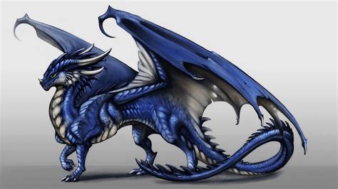 Dragon Bleu Gris Sur Fond Gris