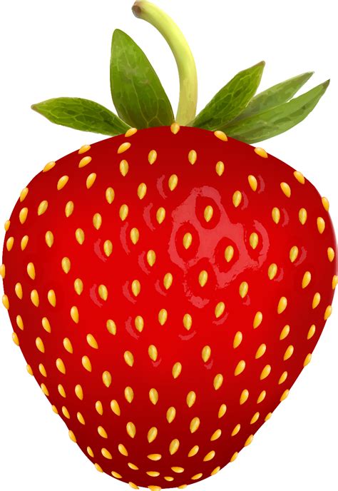 Download High Quality Strawberry Clipart Transparent Transparent Png