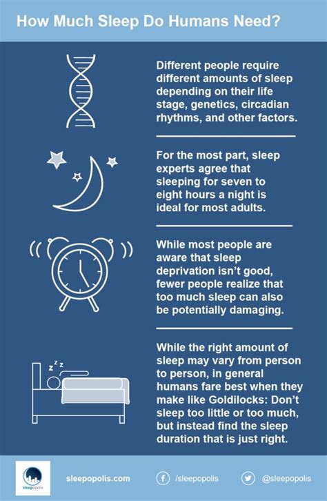 Why We Sleep Plus What Happens In The Brain And Body When We Do Sleepopolis