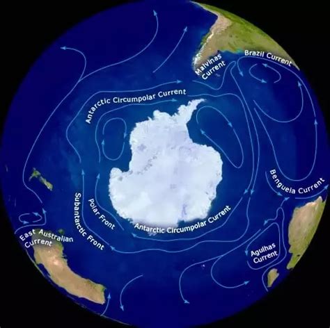 Corriente Circumpolar Antártica La Guía De Geografía