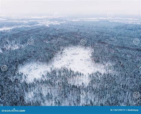Aerial Drone View Of Meadow In Winter Forest Beautiful Snowy Nature