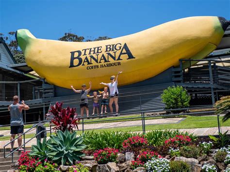 Australias Big Things More Australians Now Seeing Big Banana And