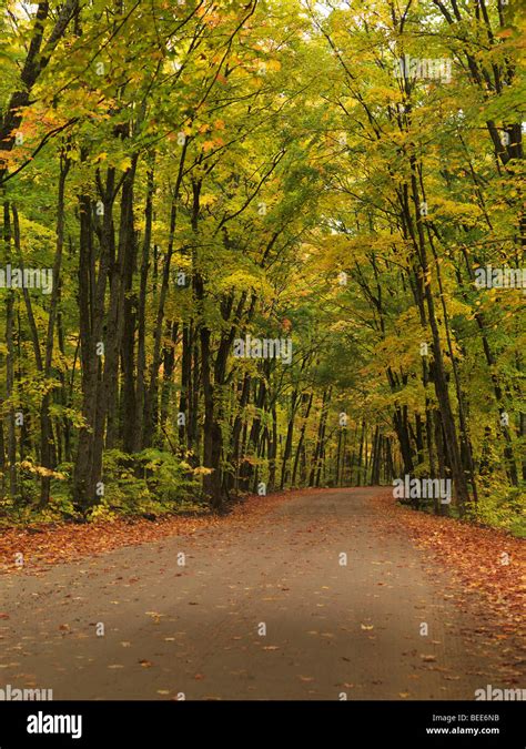 Winding Unpaved Road Through Beautiful Fall Nature Scenery Stock Photo